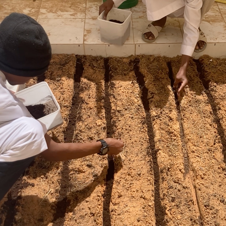 Farming Workshop