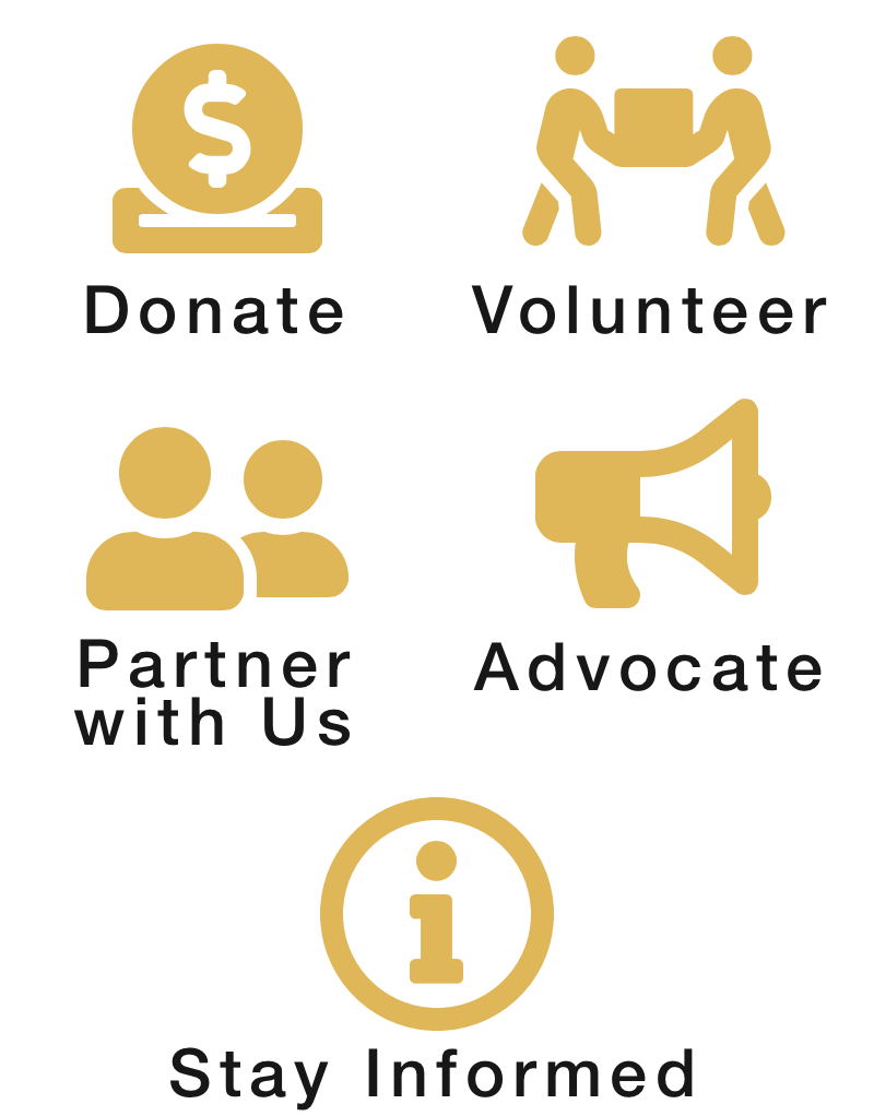 Support trt